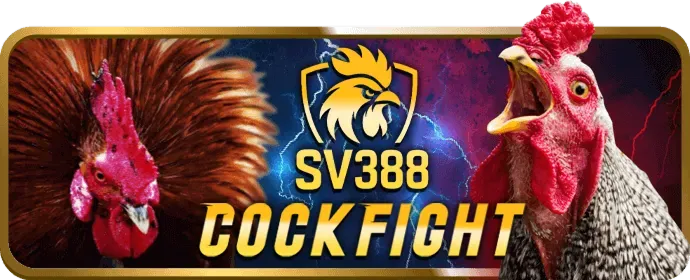 Hoàn trả cược 01win55